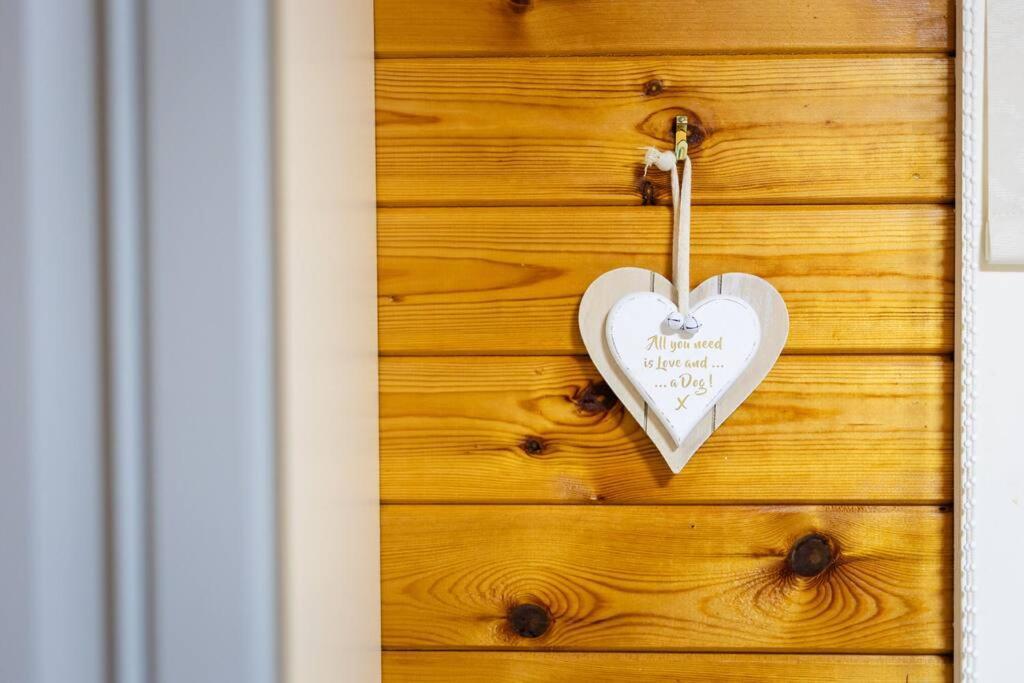 Rural Log Cabin In Snowdonia Near Coed Y Brenin By Seren Short Stays Ffestiniog Esterno foto
